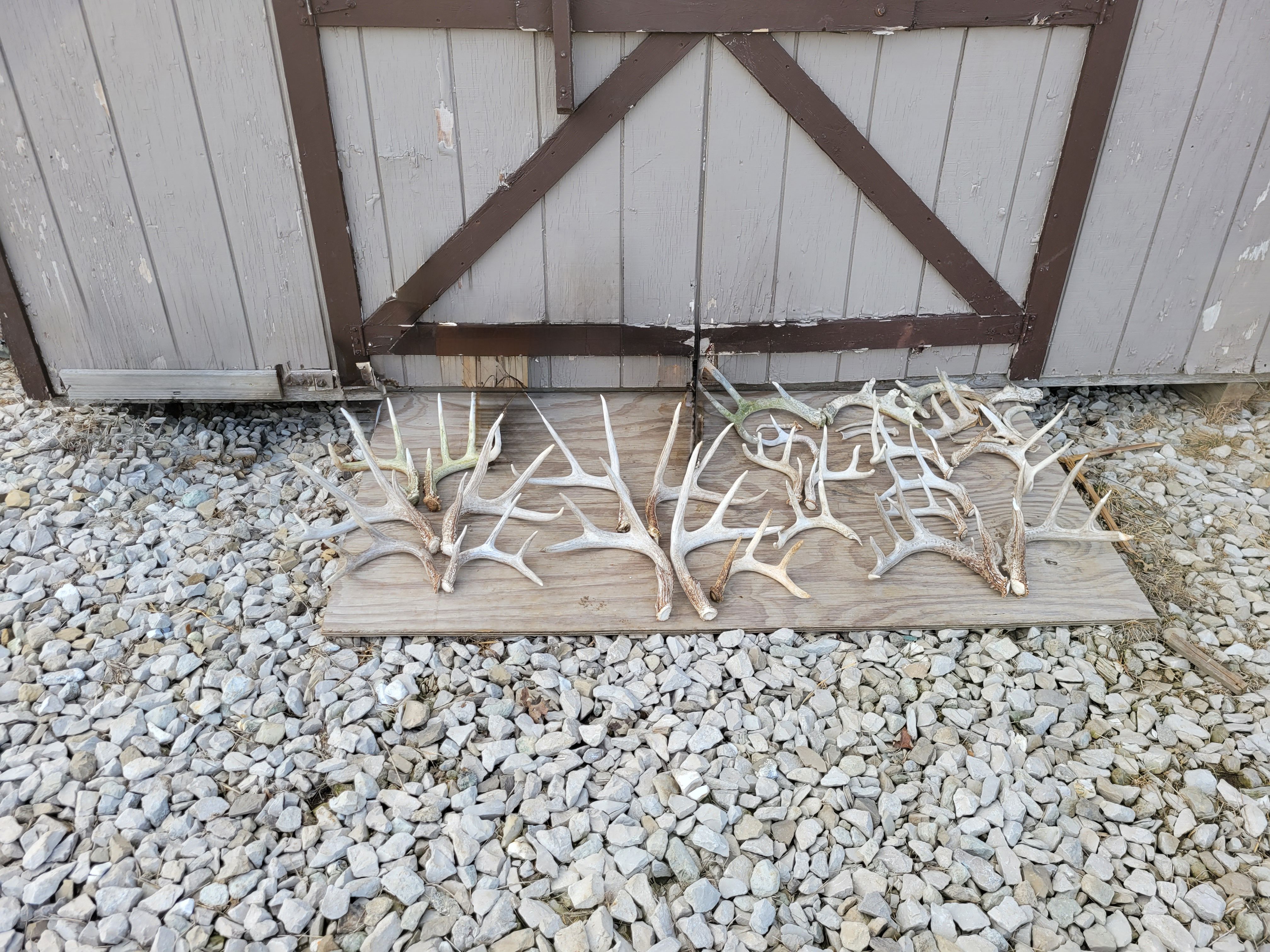 Listing Photo: Shed Hunt 2022